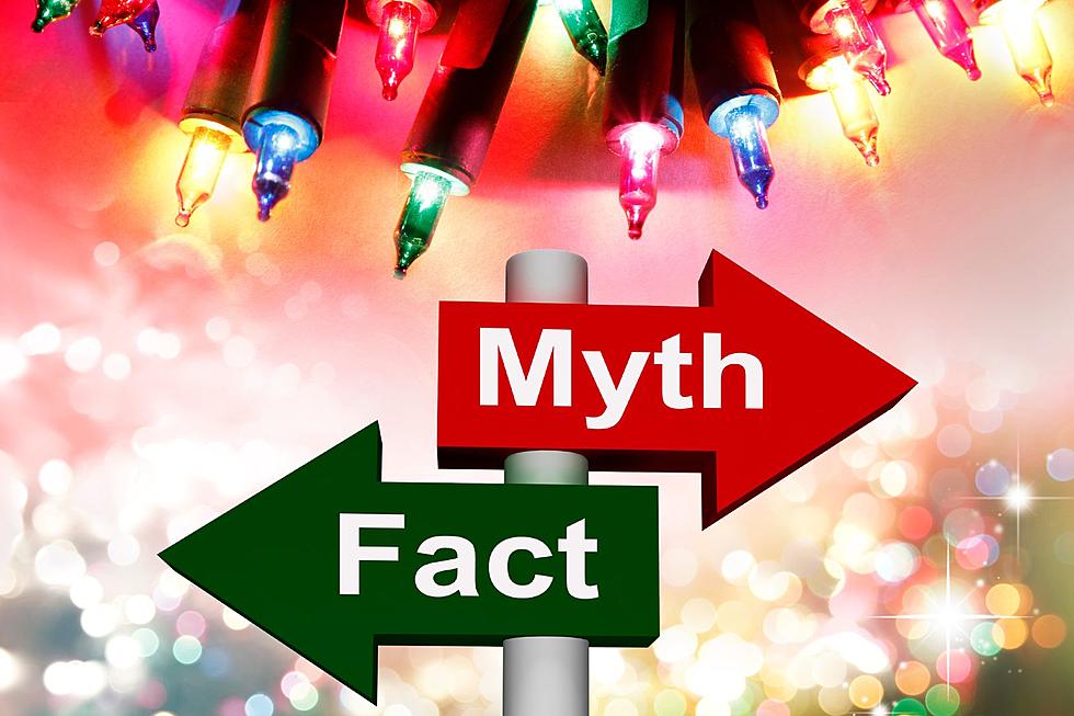 Fact Check: Are Certain Christmas Lights Banned in Indiana?