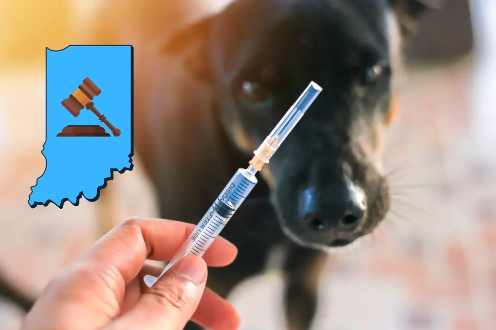 Are Indiana Pets Legally Required to Get Vaccinated Against Rabies?