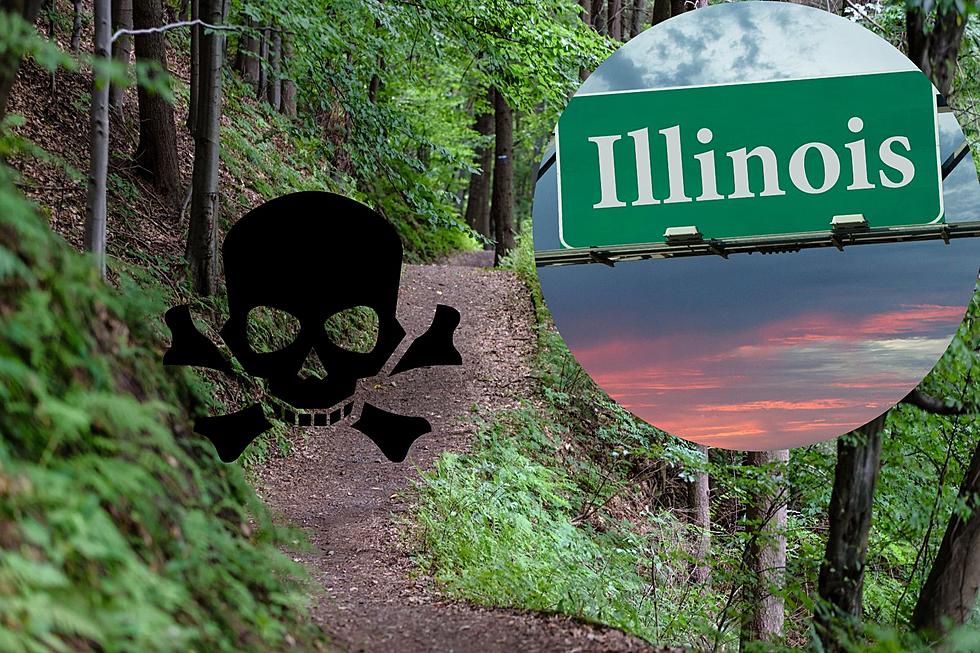 These Are The Most Dangerous Places To Go Hiking In Illinois