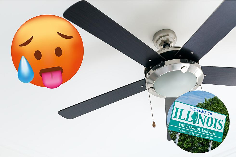 How Every Homeowner In Illinois Can Save Money By Adjusting Their Ceiling Fans Now