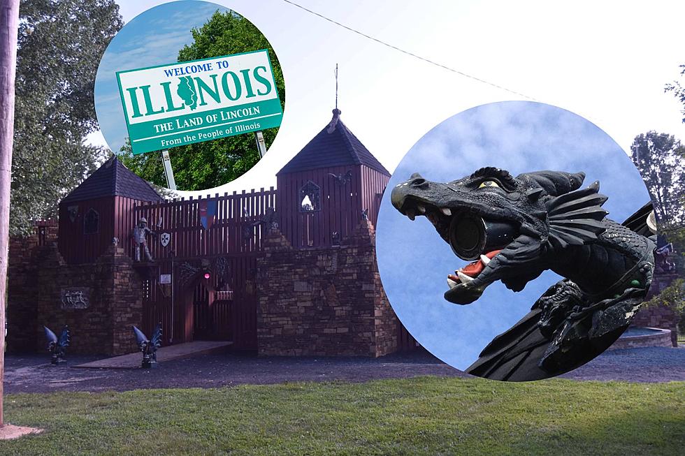 Wild Castle Adventure Can Be Found at This Hidden Gem Playground In Illinois