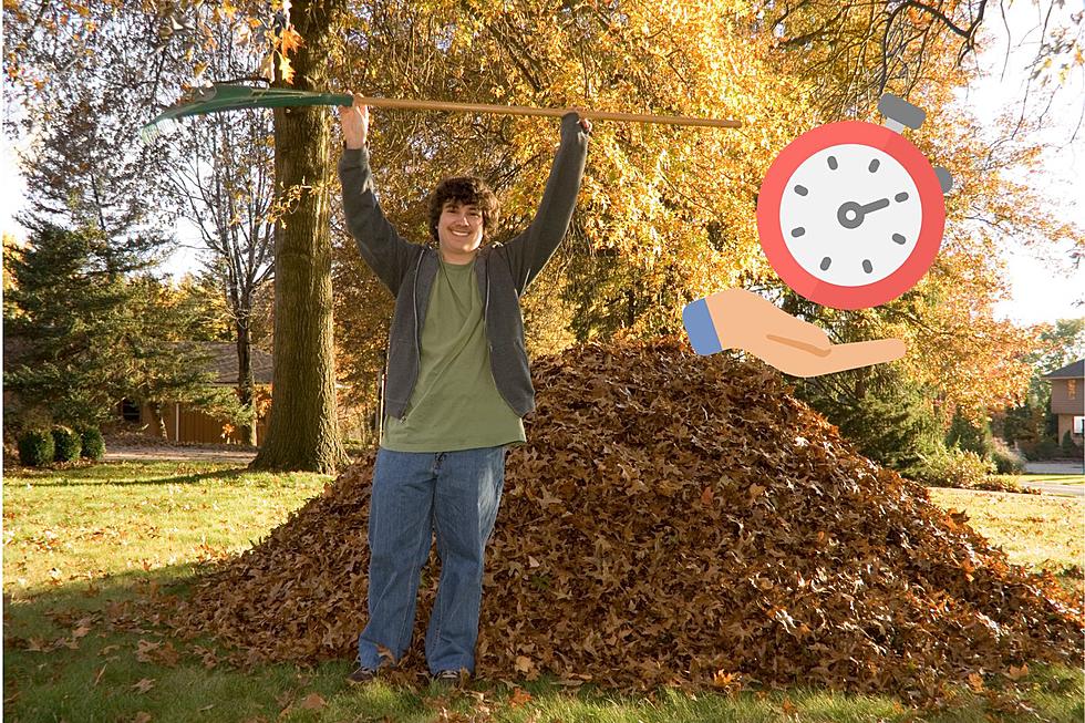 Iowa Can Save Time This Year By Skipping The Fall Leaf Raking