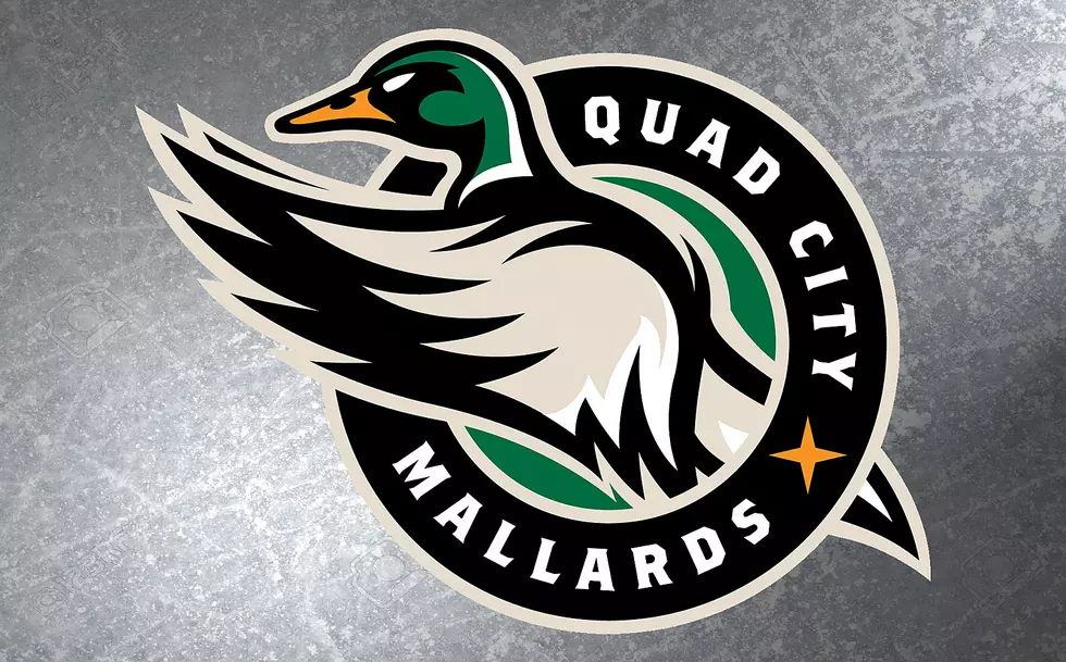 Quad City Mallards Will Fold At End Of The Season