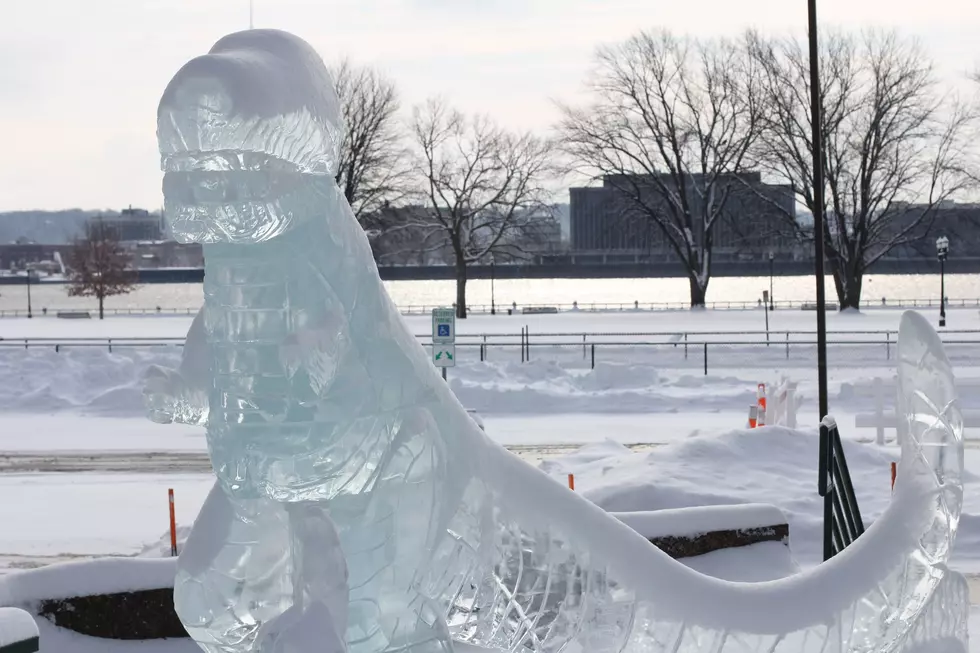 Icestravaganza & 24,000 Pounds of Ice Coming to Davenport