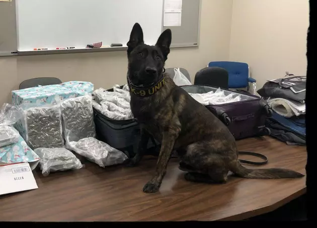 K-9 Glock Busts Another Drug Runner at Galesburg Train Station