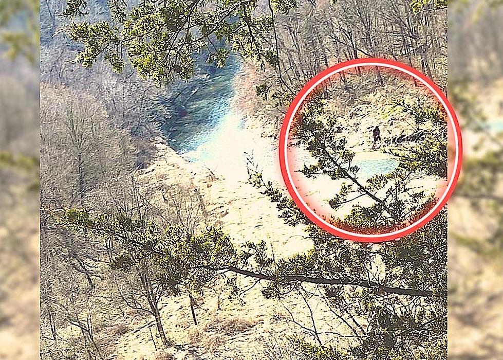 These Are Three Of The Most Famous Bigfoot Sightings In Iowa