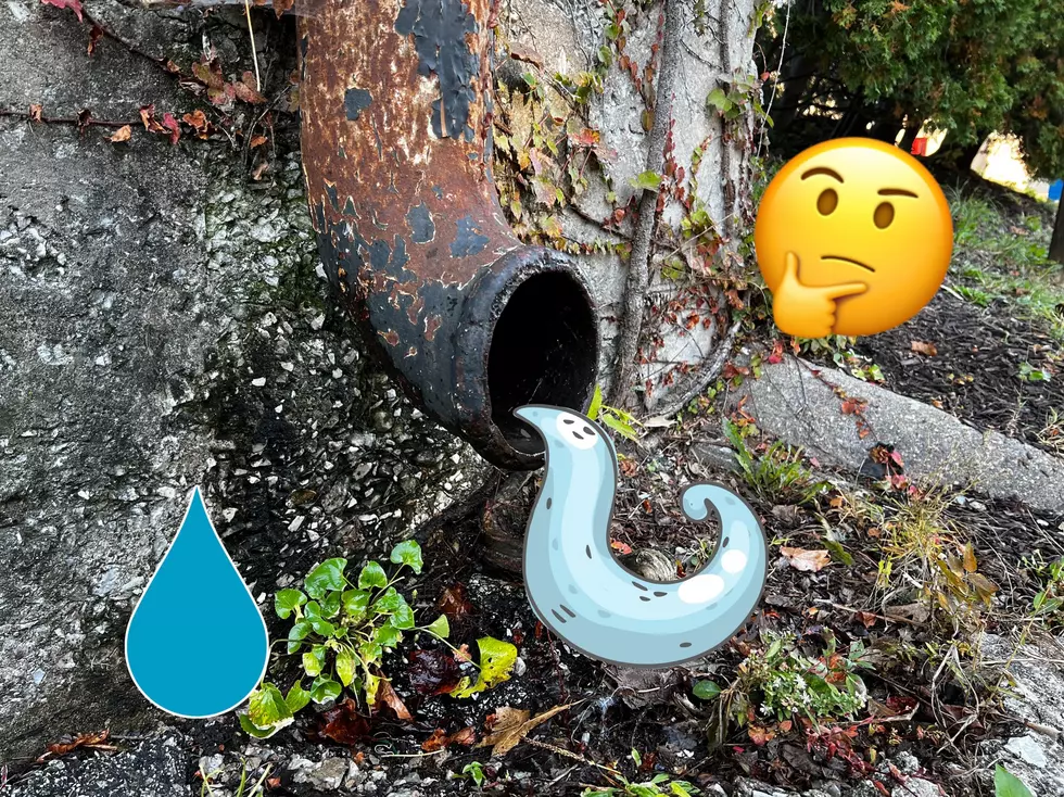 Can You Legally Collect Rainwater In Illinois