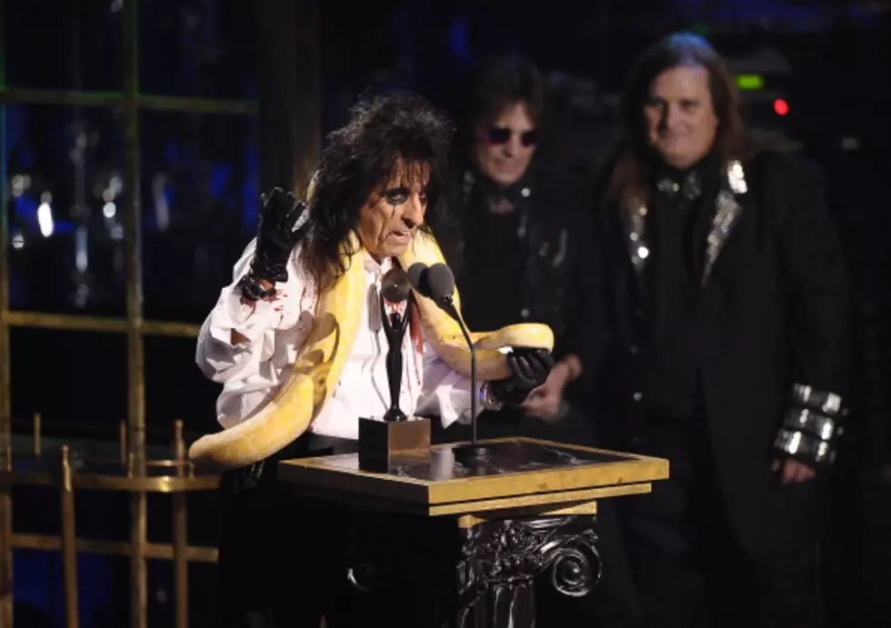 Alice Cooper Finally Makes It To Hall of Fame