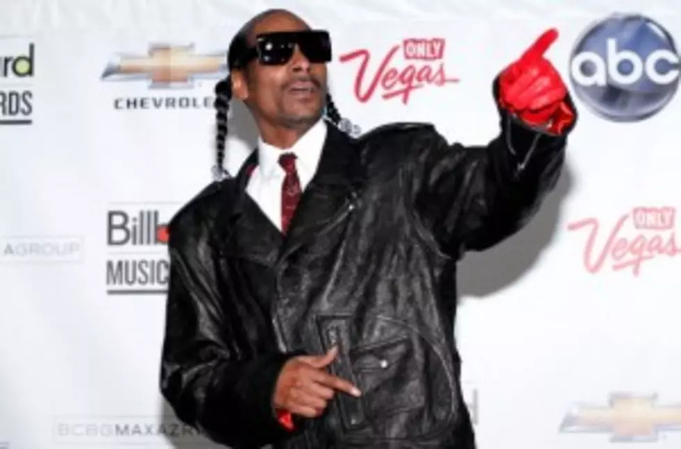 Snoop Dogg Wants Hip Hop American Idol