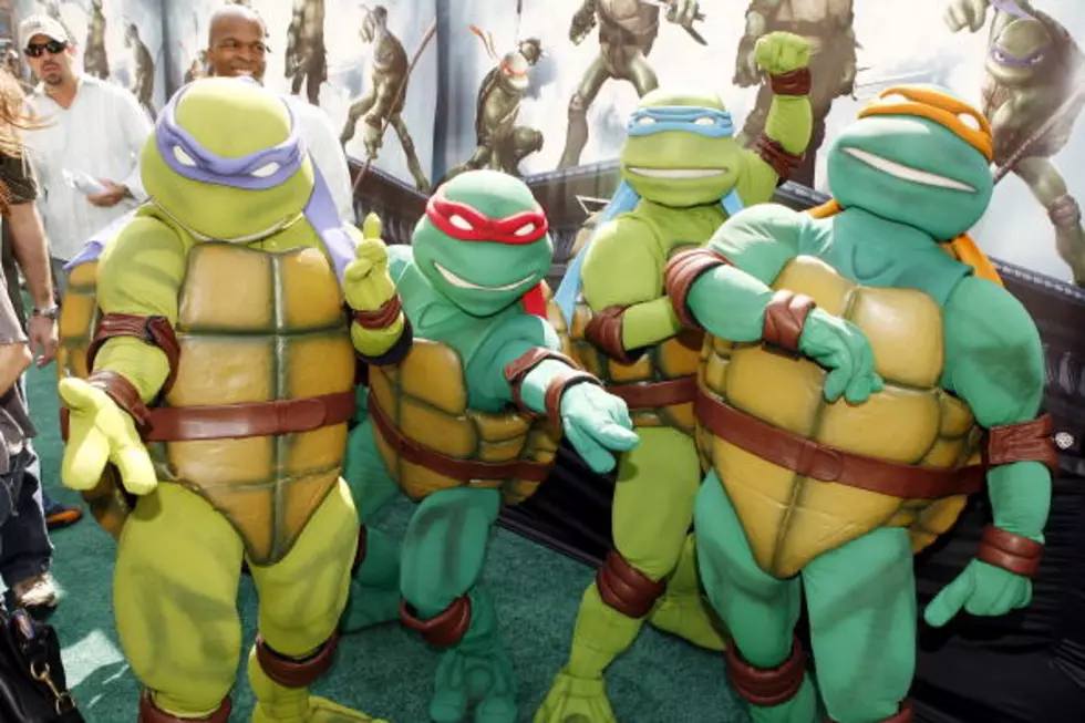 Teenage Mutant Ninja Turtles Get Set For Big Screen Return