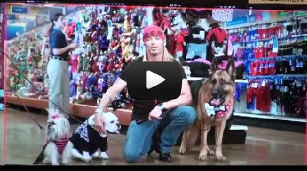 Bret Michaels Introduces His Own PetSmart Line [VIDEO]