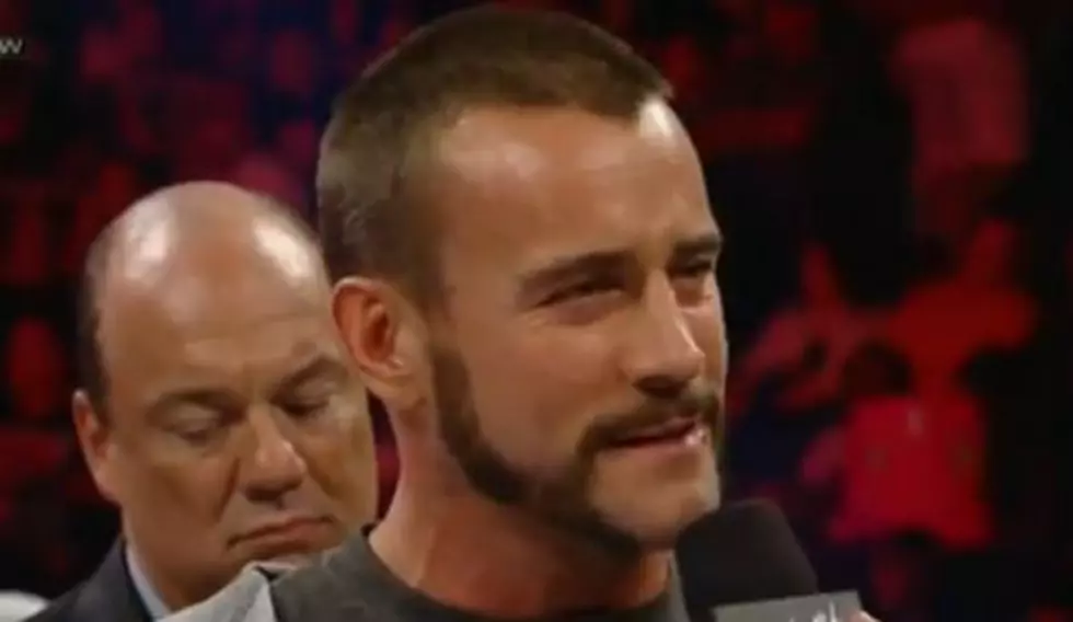 See The WWE Champion CM Punk Punch A Fan [VIDEO]
