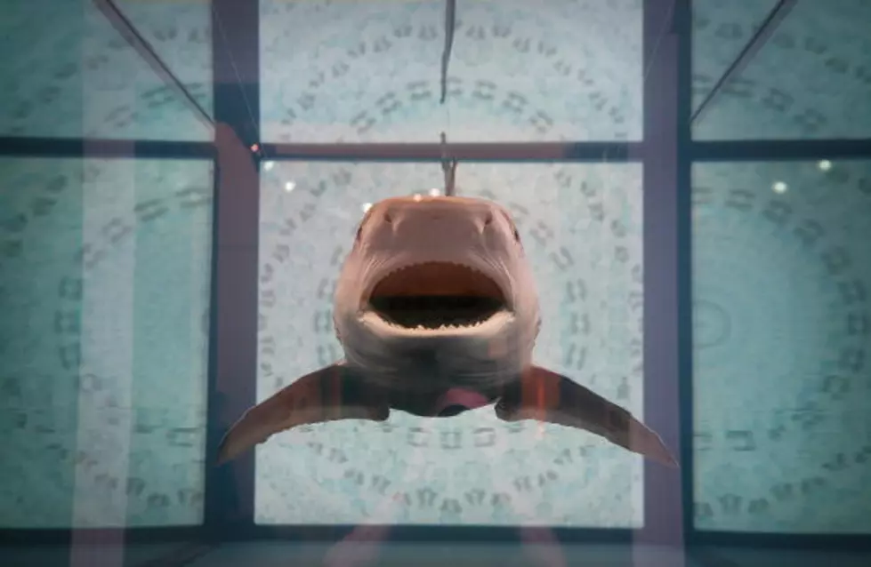 QTV: Dalton Saw a Movie—’Sharknado 2′