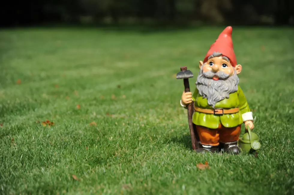 Drunk Guy Dressed Like Gnome Attacked By Dog [VIDEO]