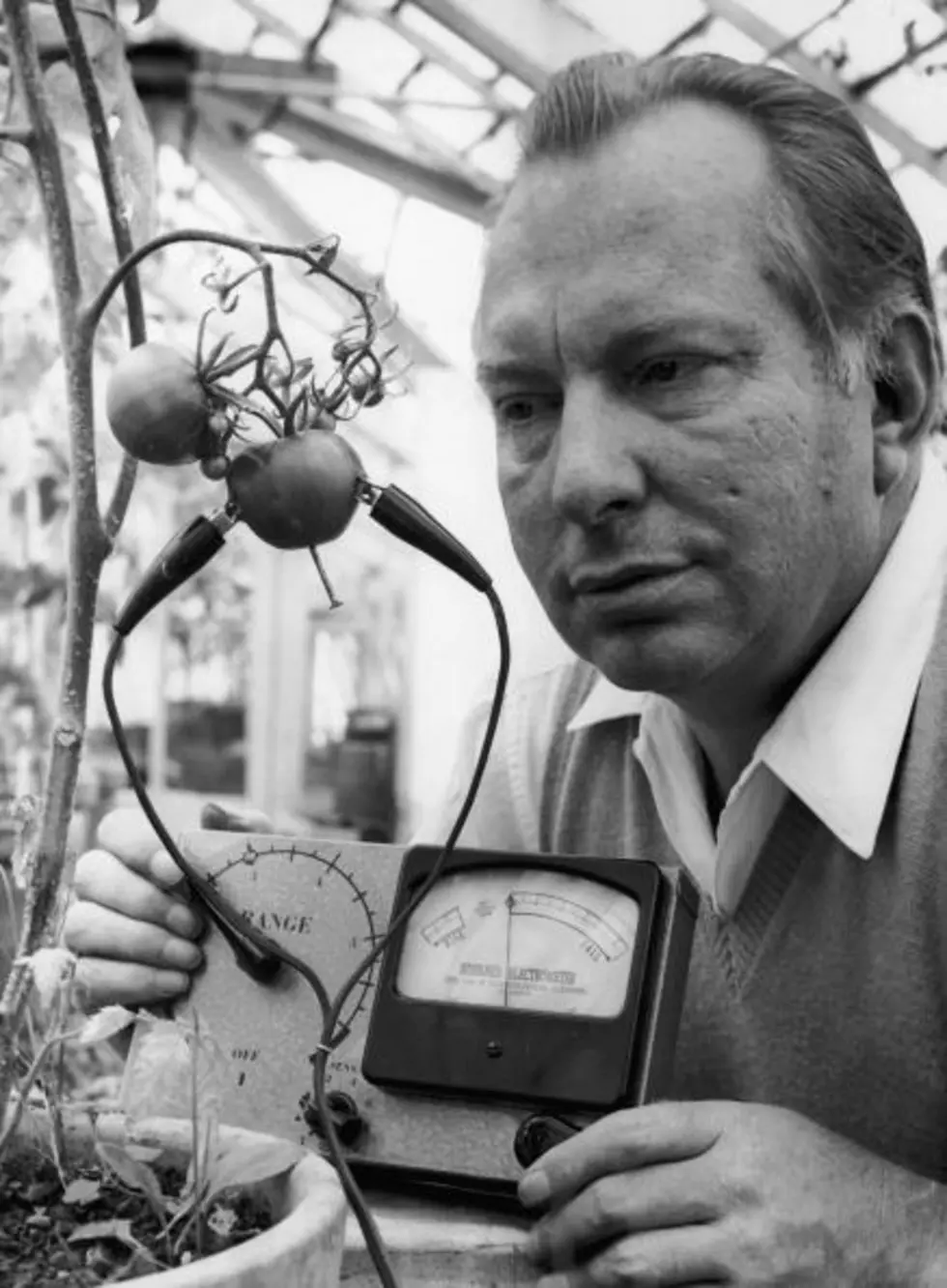 How Do You Celebrate L. Ron Hubbard’s Birthday?