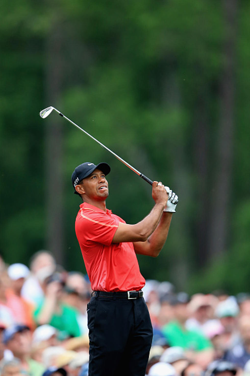 Tiger Woods Pops A Bone (Video)