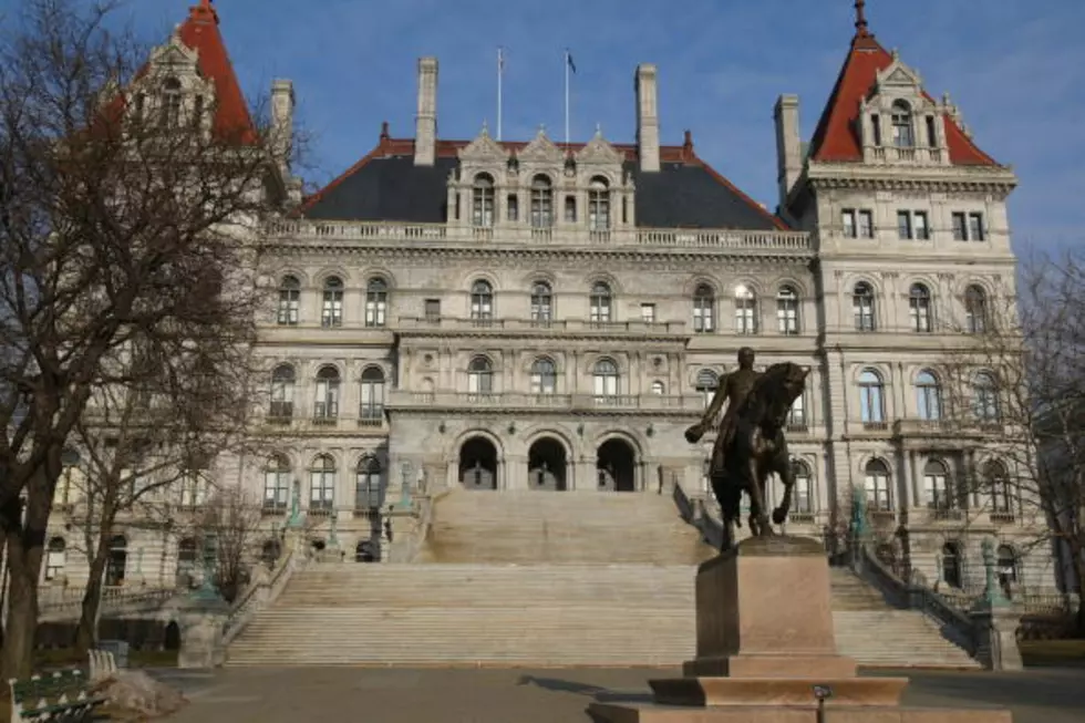 Potential Protests in Albany - Is Our Capitol Building Secure?