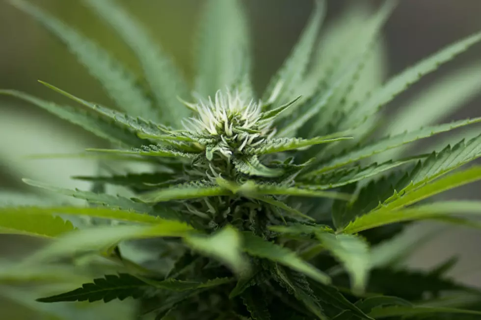 New York To Expand Medical Marijuana Program