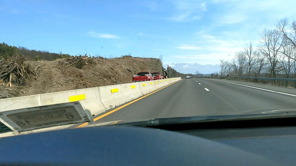Why Are Trees Being Removed from the Thruway?