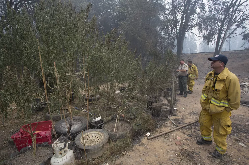 Firefighters Discover Over Two Dozen Pot Plants in Burning Home