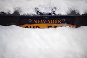 NY Announces New License Plate Design for A Cause
