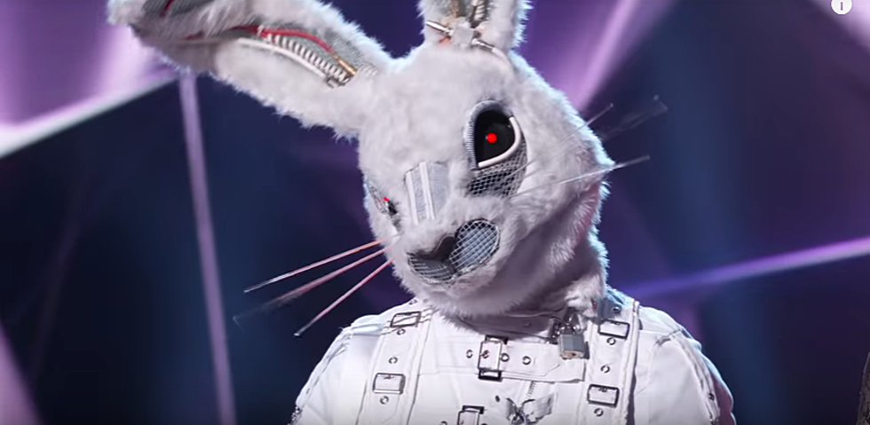 Everything You Need to Know Before You Get Sucked Into The Masked Singer