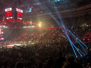 My Experience as a First-Time WWE Fan