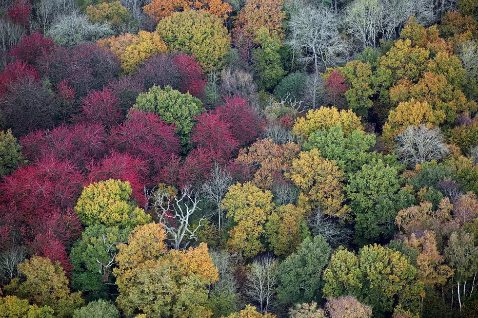 The Upstate In Fall Means Leaf Peeping, Hiking And Glamping.