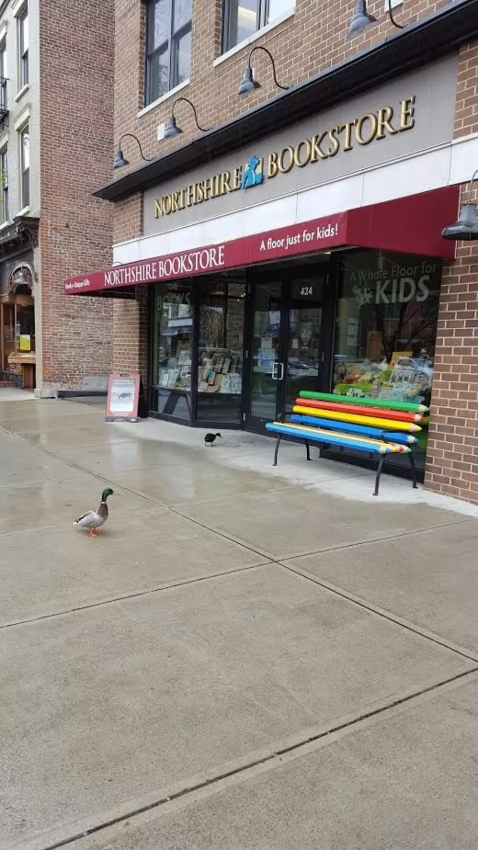 What The Duck is Up With The Saratoga Springs Police Department?