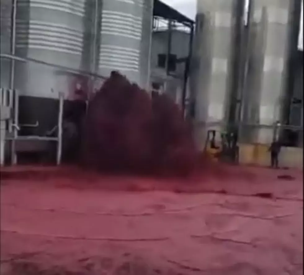 Wine Lovers Beware – Video of 60,000 Bottles of Wine Spilled on the Ground