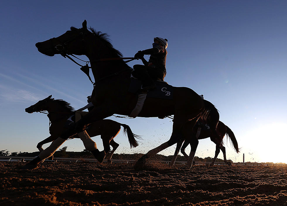 Saratoga Celebrates Reopening Of Retired Race Horse Ranch