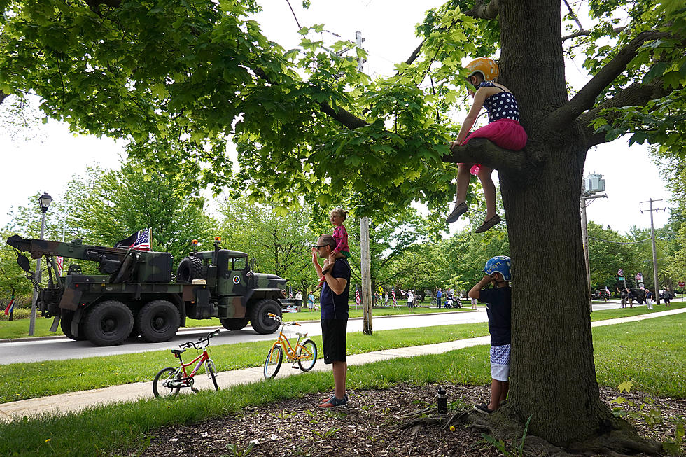 160 Year Old Waterloo, New York Tree Holds the Legend of Memorial Day