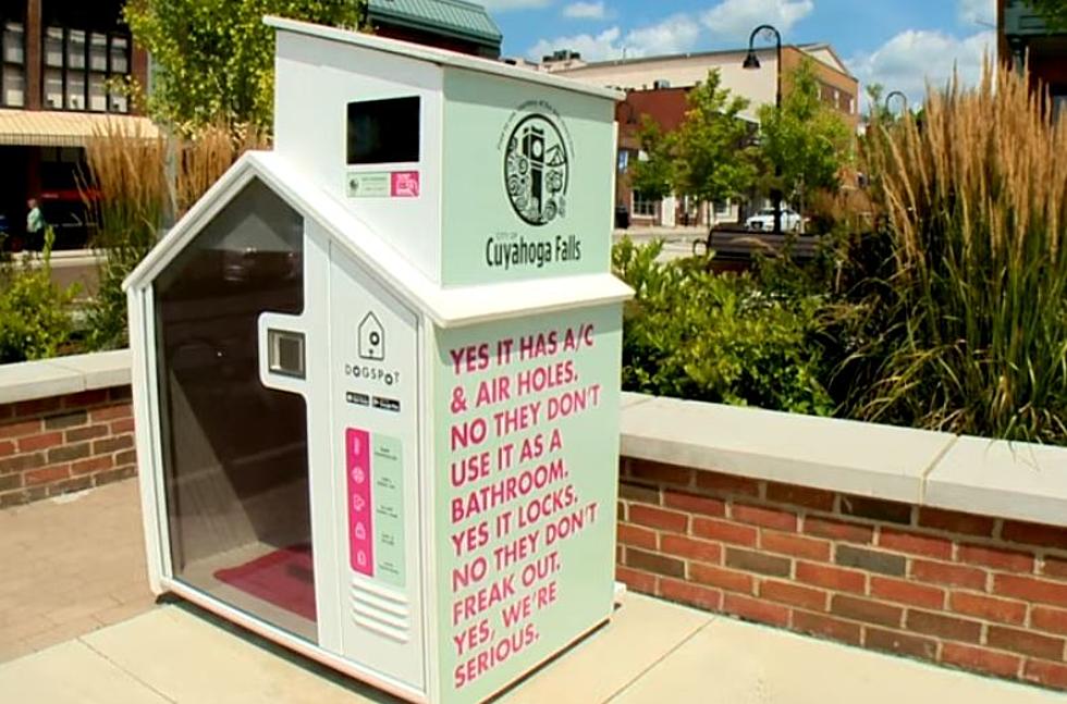 Rent this Air Conditioned Dog House Equipped with Wifi