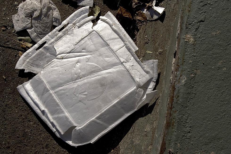 New York&#8217;s Ban On Styrofoam and Packing Peanuts is Coming Soon