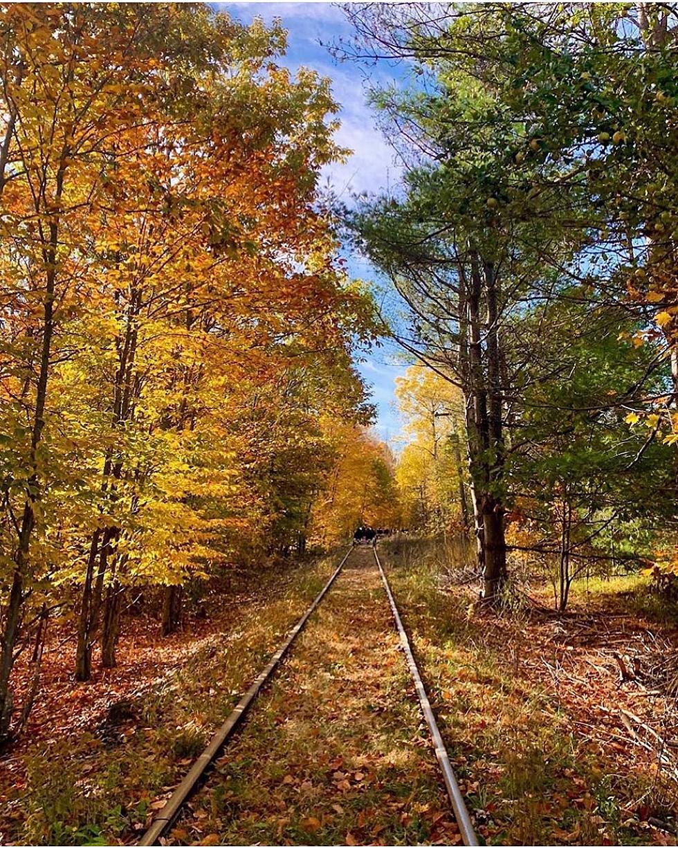 This Might Be the Best Way To Leaf Peep - Adirondack Railbiking