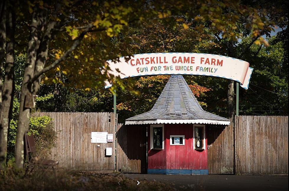 Old Catskill Game Farm is Now an Inn and Offers Glamping Tents