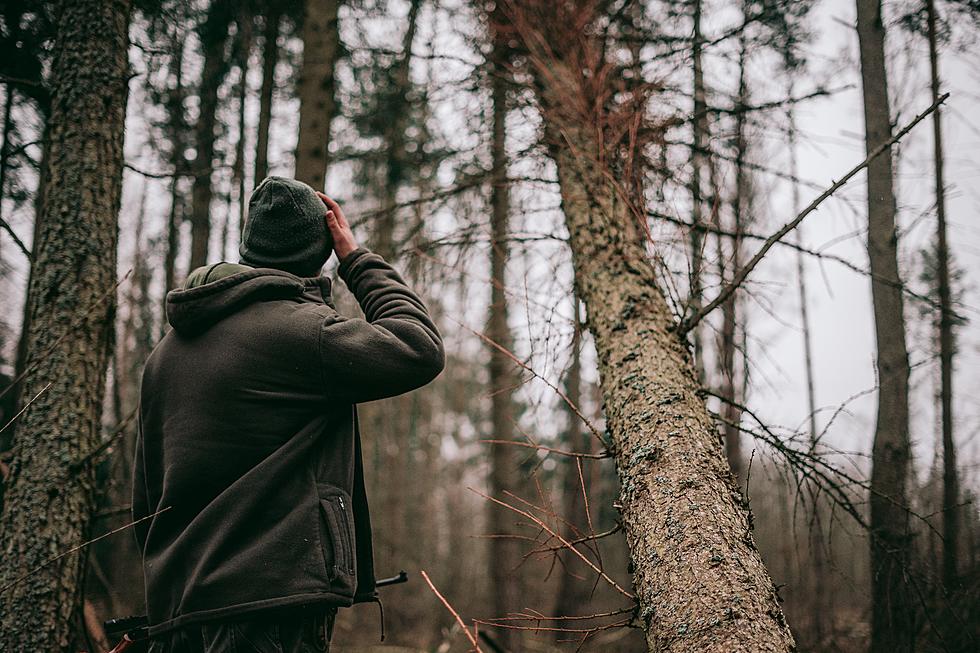 How Does a Man Get Stuck In Tree While Hunting in Upstate New York?