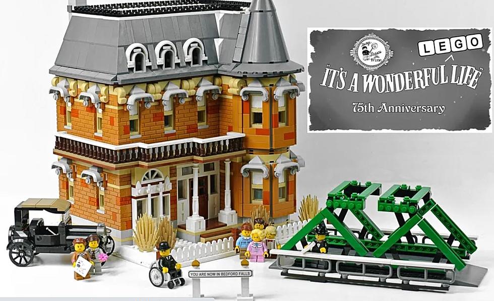 Upstate New York Family Designs a Wonderful LEGO Set! Will it Make Store Shelves?