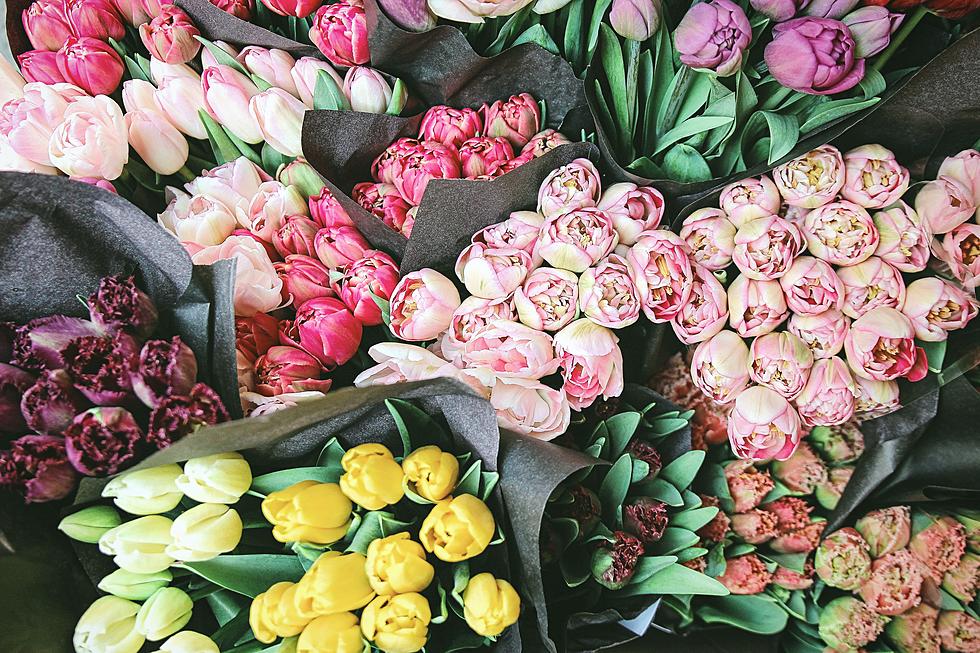 Valentine’s Day Flowers? Here are the Top 10 Florists in the Capital Region