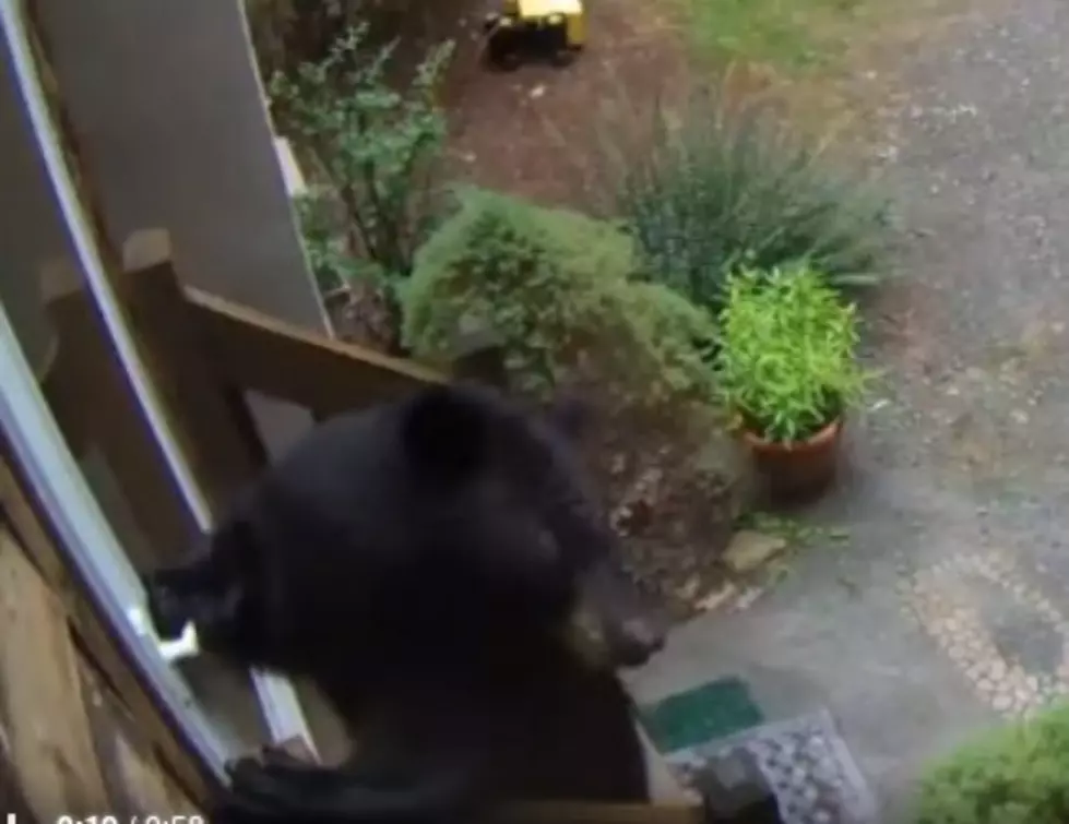 WATCH: Bear Opens Door of Upstate Home