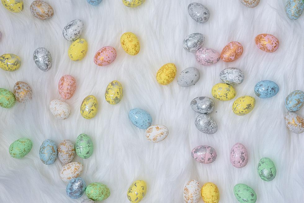 Capital Region’s Best Places to Get Easter Candy! Is Your Favorite Here?