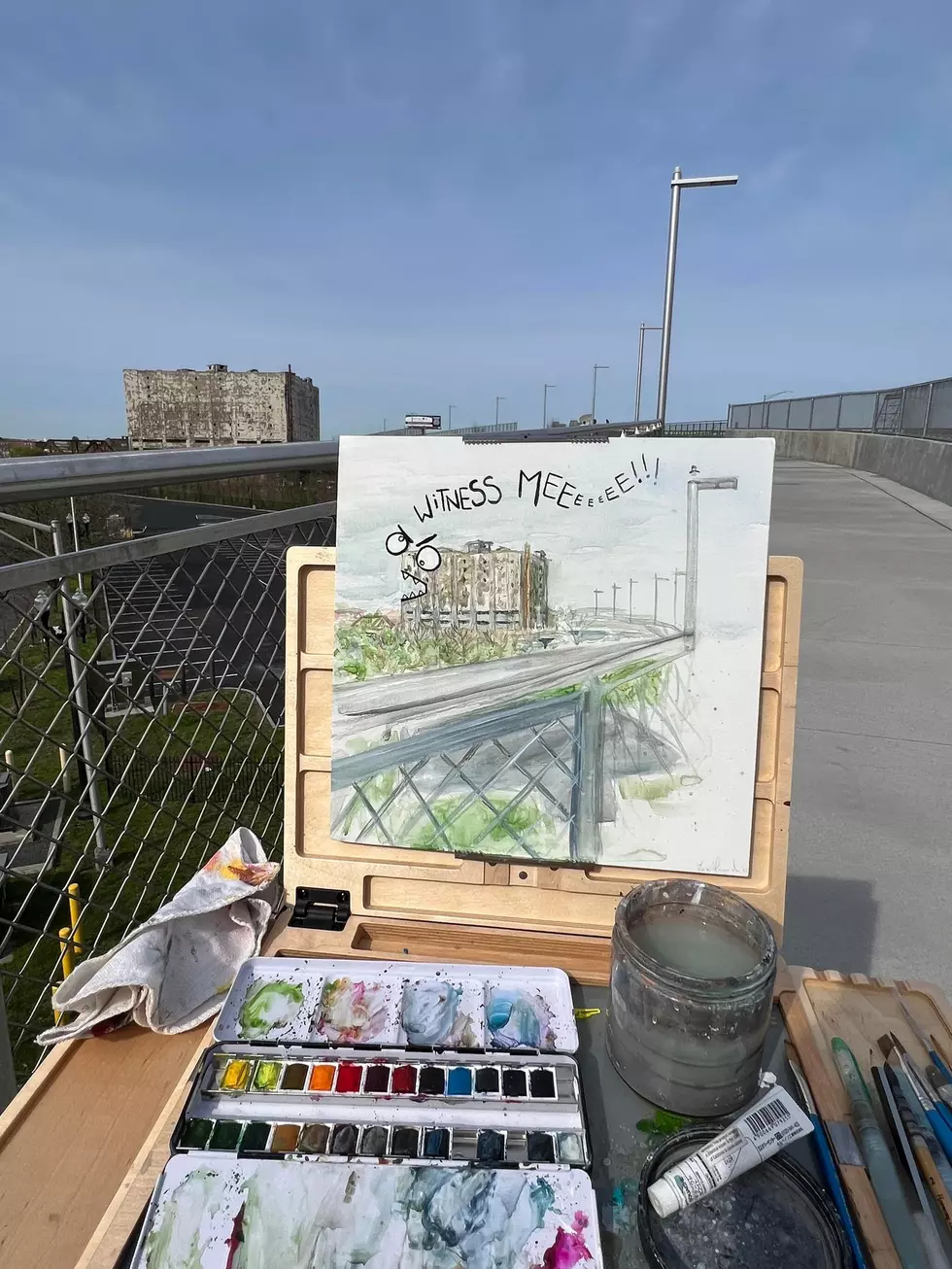 Artist Captures the Most Incredible View from Albany&#8217;s New Skyway