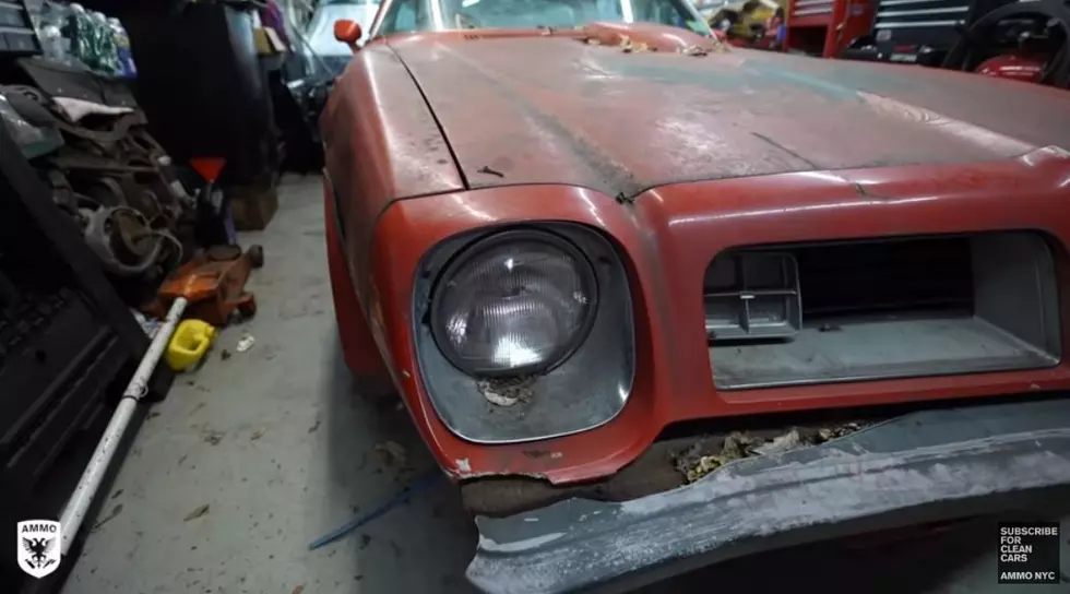 Rare New York Garage Find, Did You Dream of This 1975 Beauty?