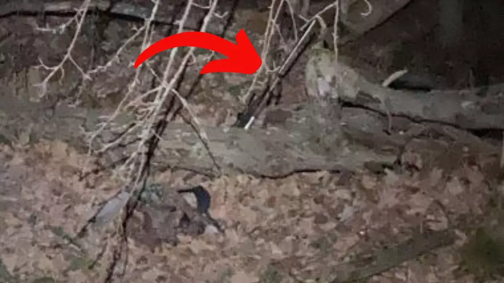 Elderly Hunter Found Stuck In NY Swamp! This Object Helped Find Him