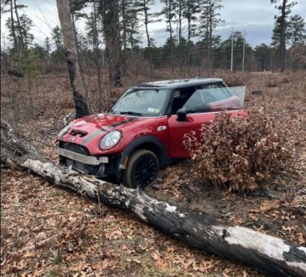 Albany Pine Bush, Great for Hiking! How Did This Car End Up In Those Woods?