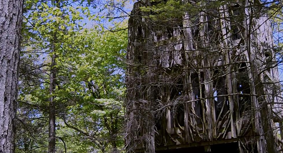Giant Treehouse Tucked Away In the Woods of New York