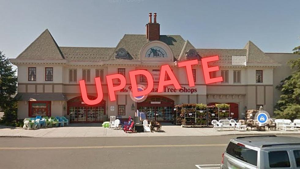 Update! New York Christmas Tree Shops, Which Stores Will Be Closing for Good?