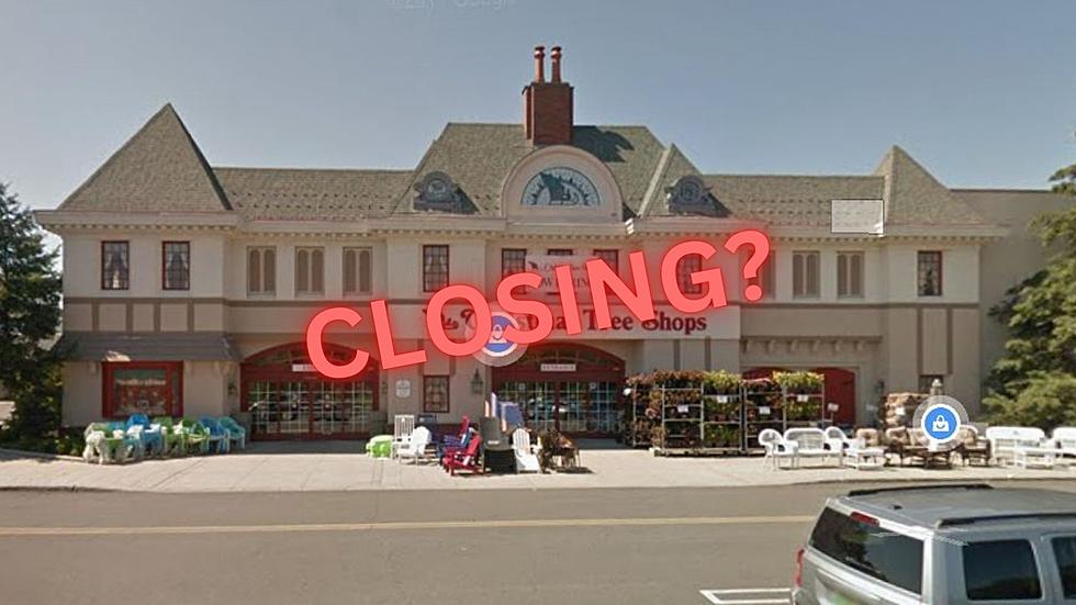 Christmas Tree Shops Closing All Stores, Including the 14 In New York