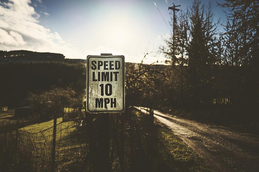 Enough! This New York State Senator Wants to Make You Stop Speeding