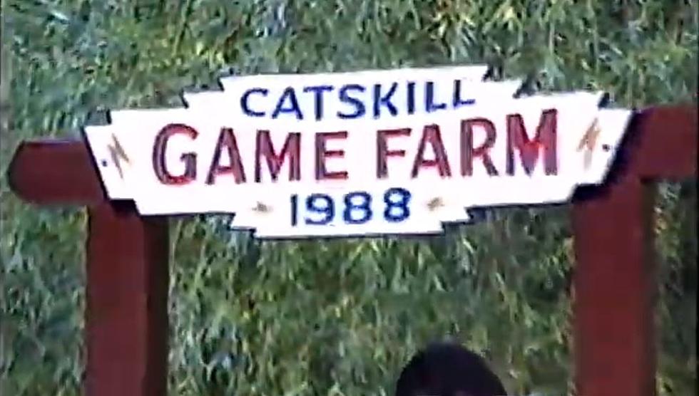 Stay at New York's Catskill Game Farm Before It Sells